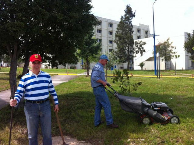 Εθελοντική δεντροφύτευση